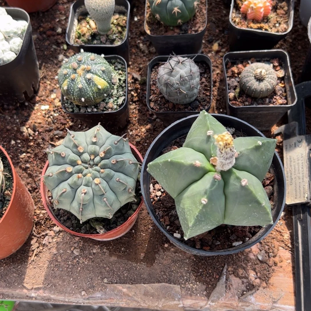 因***你3333333333333333333