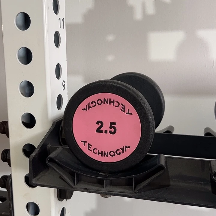 全新纯钢泰诺哑铃2.5公斤一对粉色