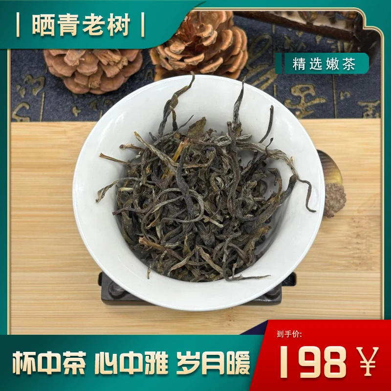 晒青老树茶