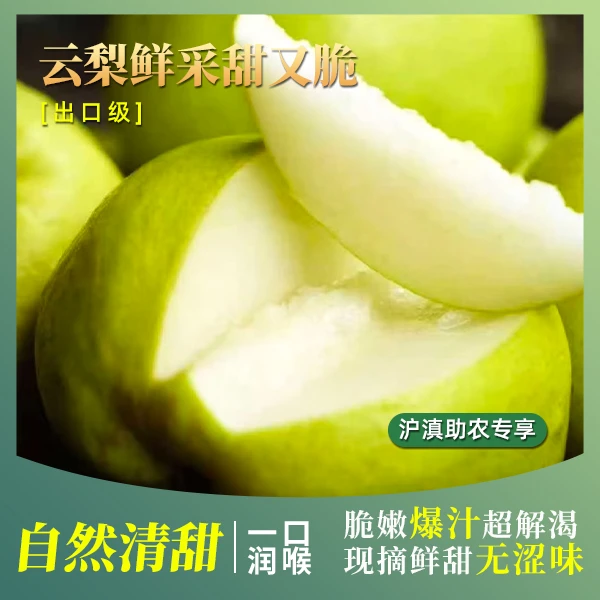 爆款蜂糖梨自然成熟不打药皮薄肉厚润喉解燥果园现摘新鲜直达