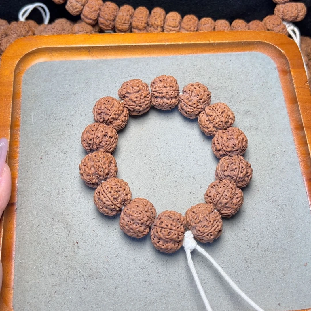 菩提22号金刚菩提安娜蜂窝22