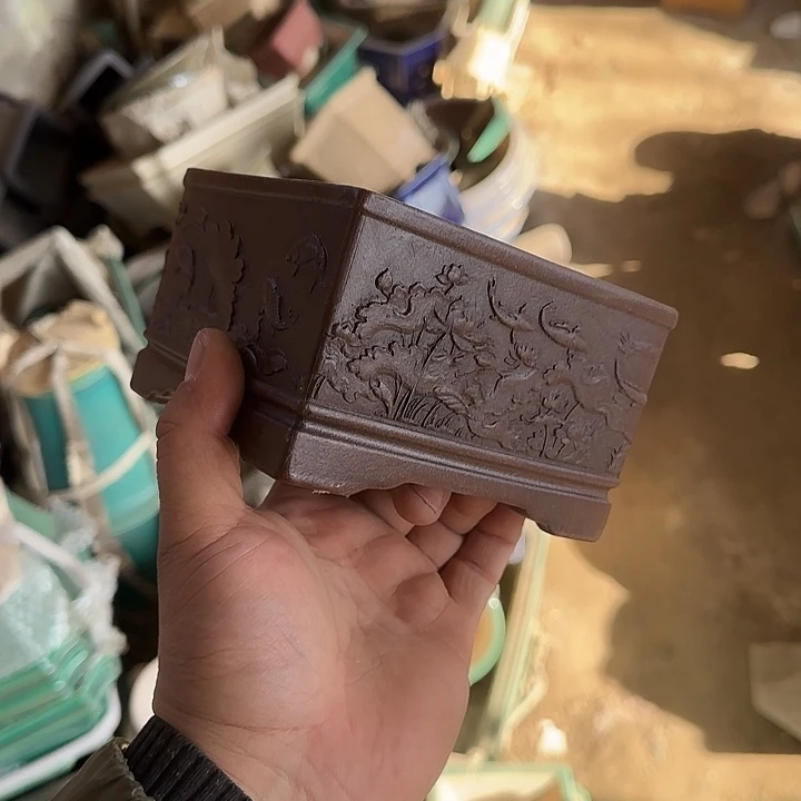 一定很喜欢的样子吧感觉都非常有魅力