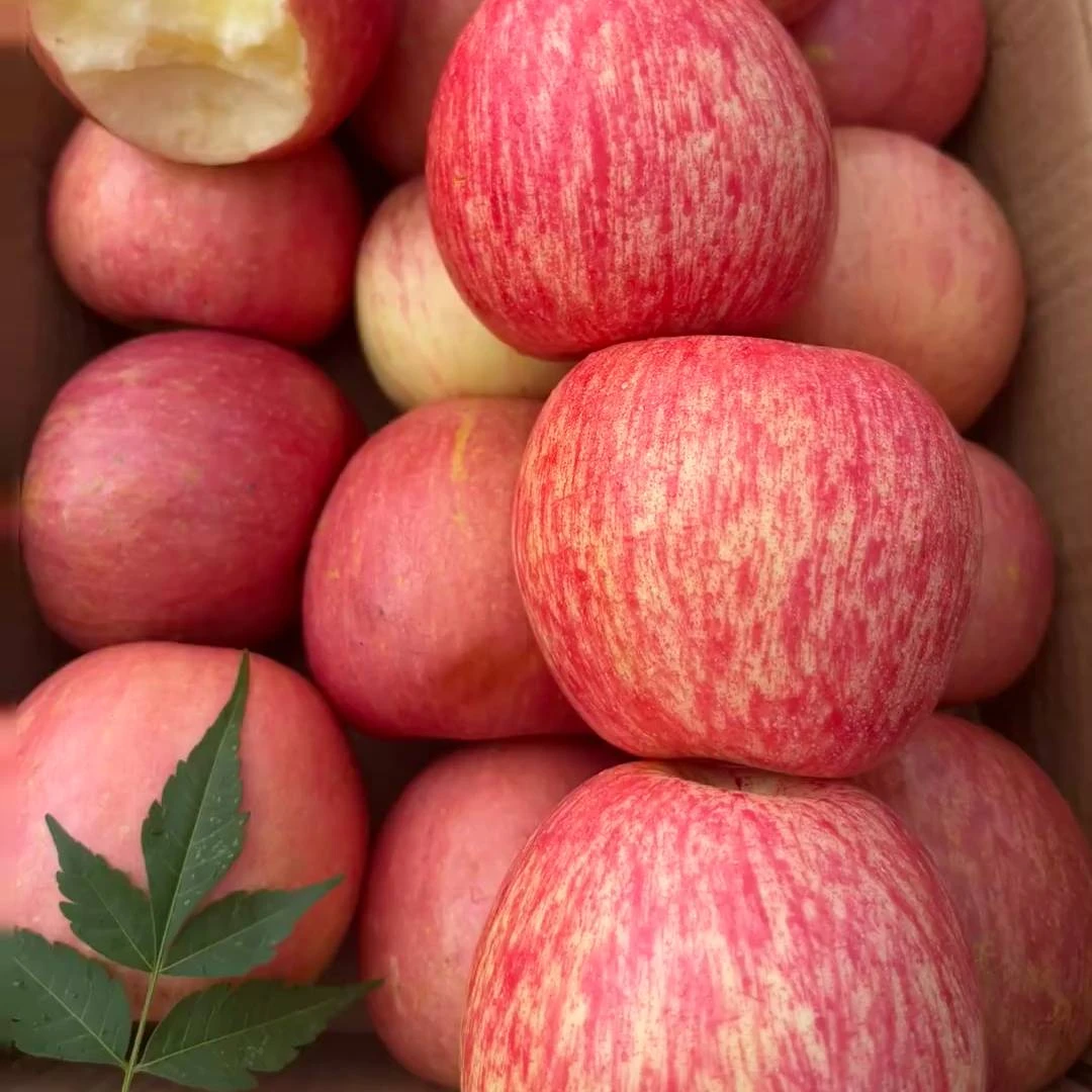 【9斤特大果】正宗烟台红富士苹果更脆甜新鲜水果净重3/5/9斤