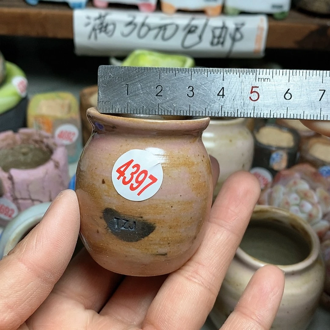 红陶语**然拍5送一个小