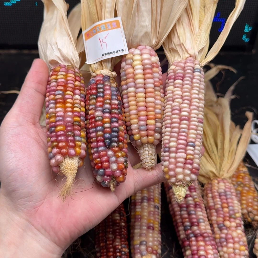 方***儿柏香籽/百香籽吊坠