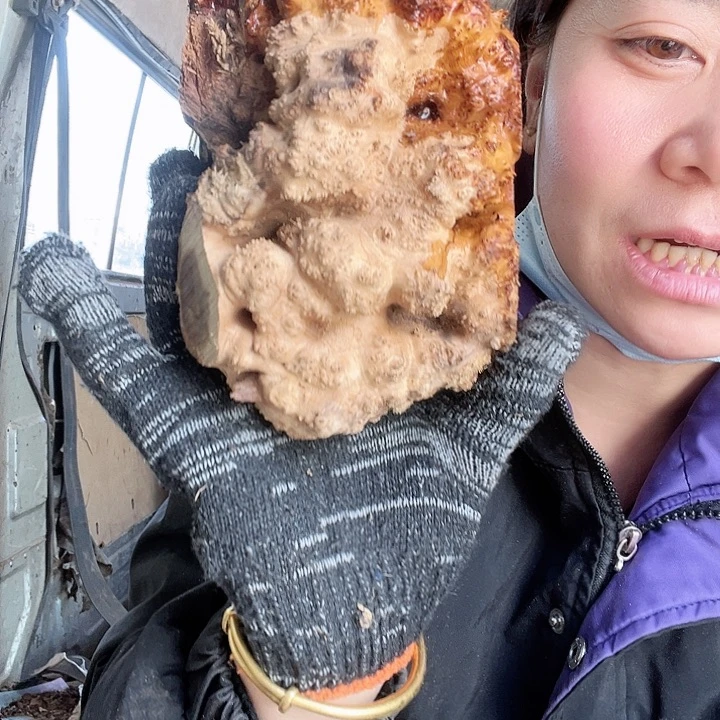 香榧木呜呜呜呜呜呜