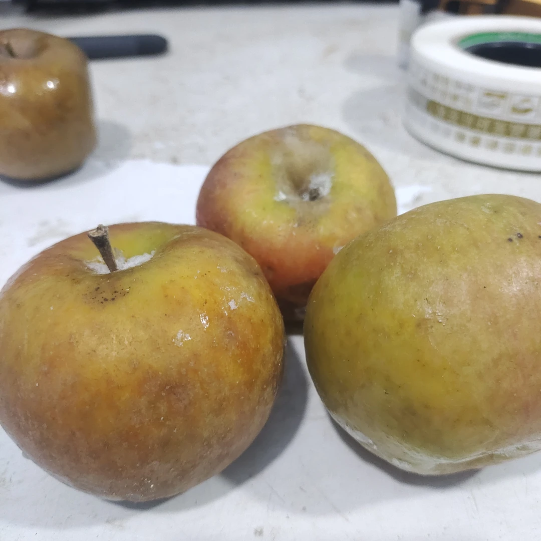 冻苹果国光苹果冻的酸甜汁水充足特色儿时的味道精选大果5斤