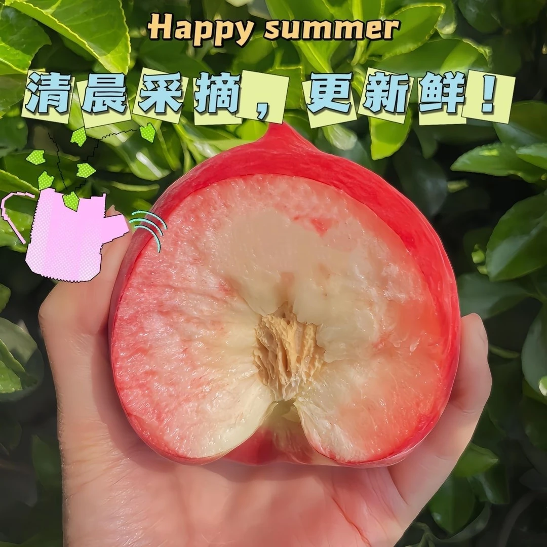 【今天拍明天到】沂蒙山露天种植血丝水蜜桃 春雪蜜桃 香甜多汁 脆软两吃当季新鲜水果桃子山东省