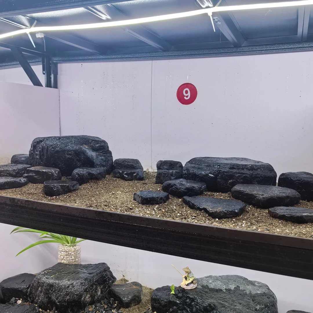 【鱼缸造景】黑金峡谷溪流石矮平头峰，适用于1米缸