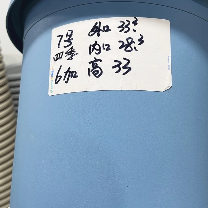 特价7号口33.3高33白色4只无托