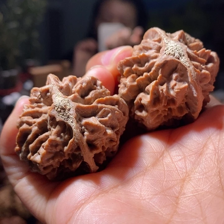 把件文玩核桃东北楸子 6