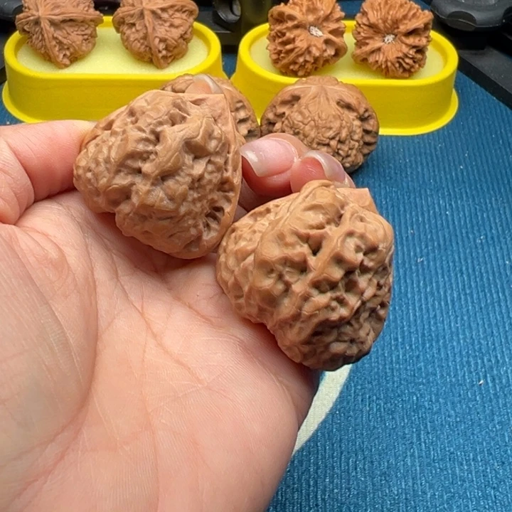 核桃文玩核桃蛤蟆