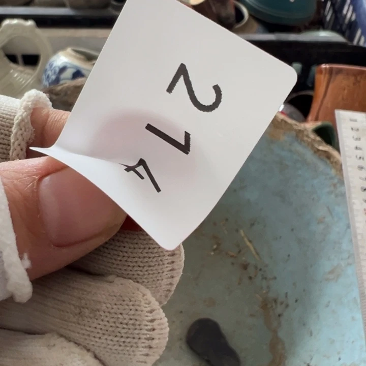 有机玻璃溟**海工艺品摆件214