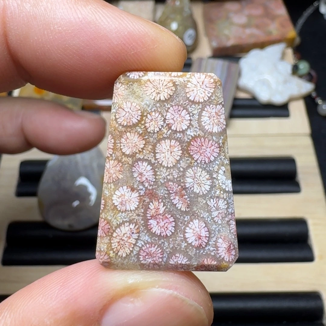 未镶嵌纯天然色有机玉石保真色硅化玉