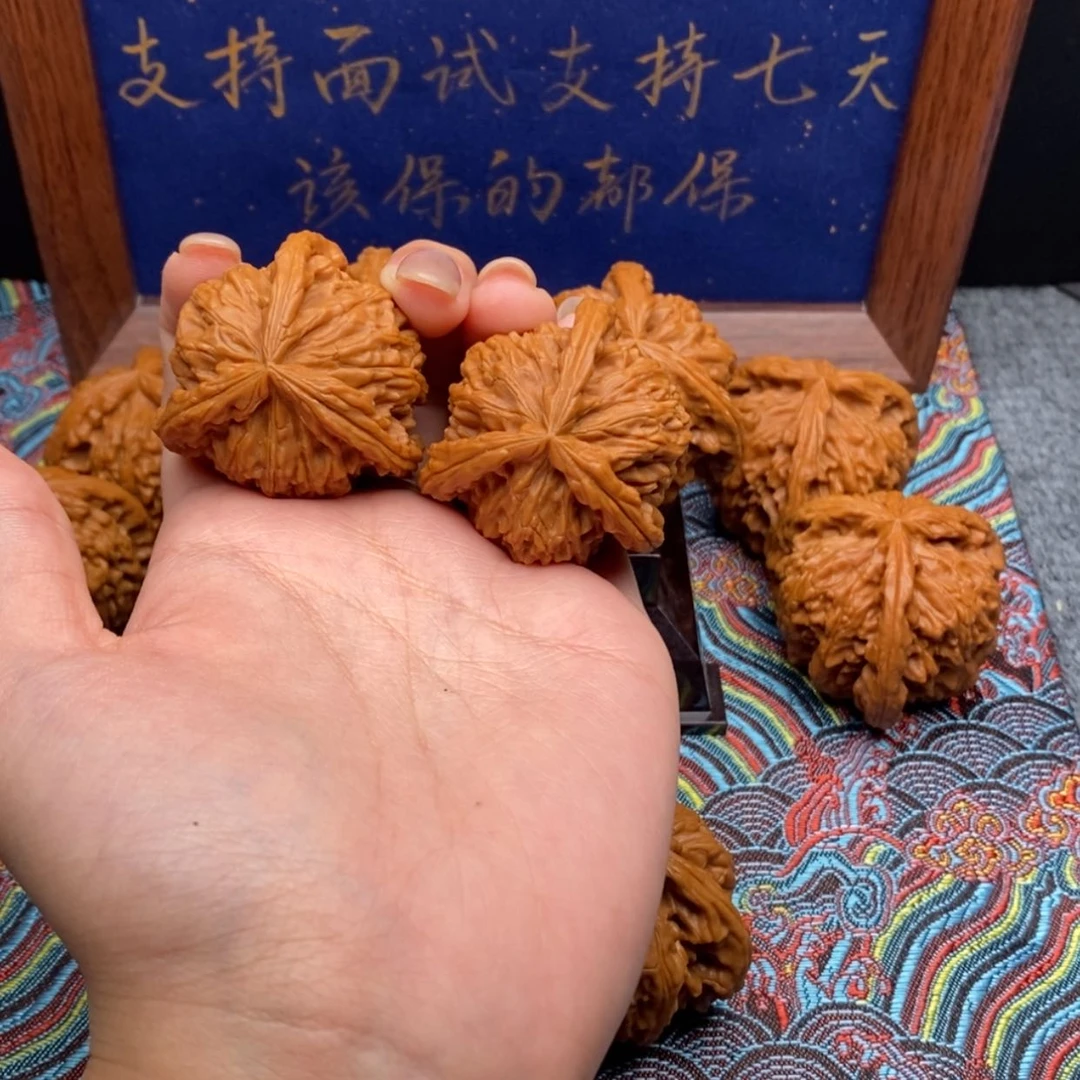 【闪购商品】冠*白狮