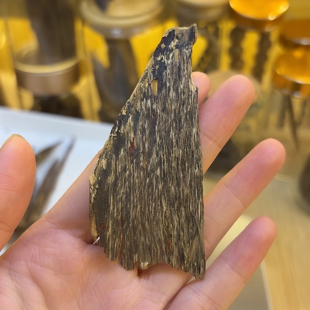 香港沉水皮油 1克