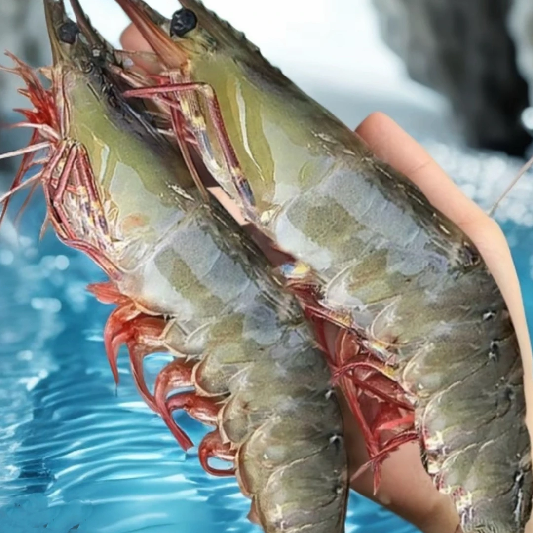 推荐20-30海虾净重无冰新鲜活虾速冻38-45只顺丰冷链发货