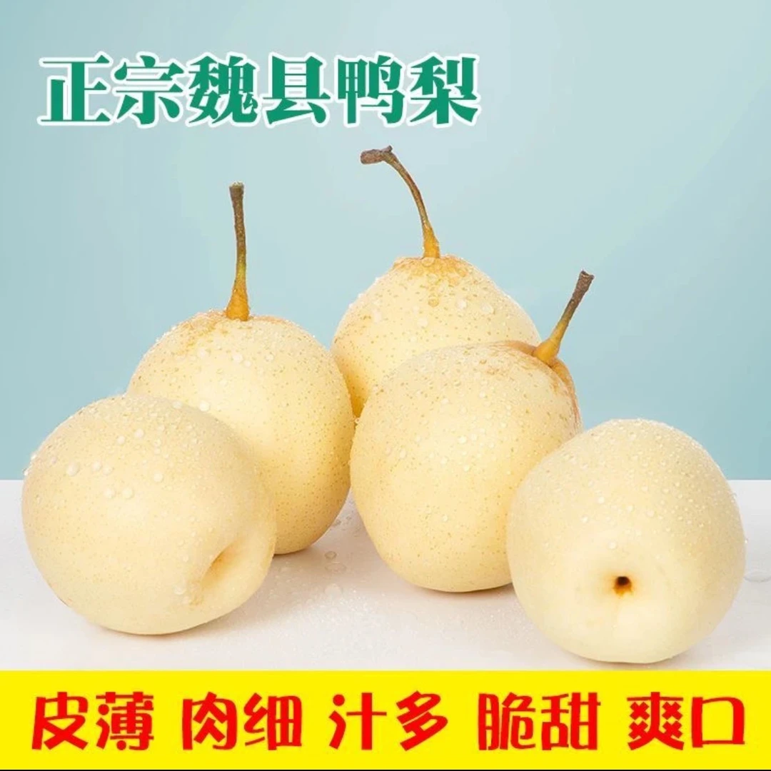正宗河北水晶梨魏县鸭梨梨新鲜当季水果果肉细腻多汁解暑梨子