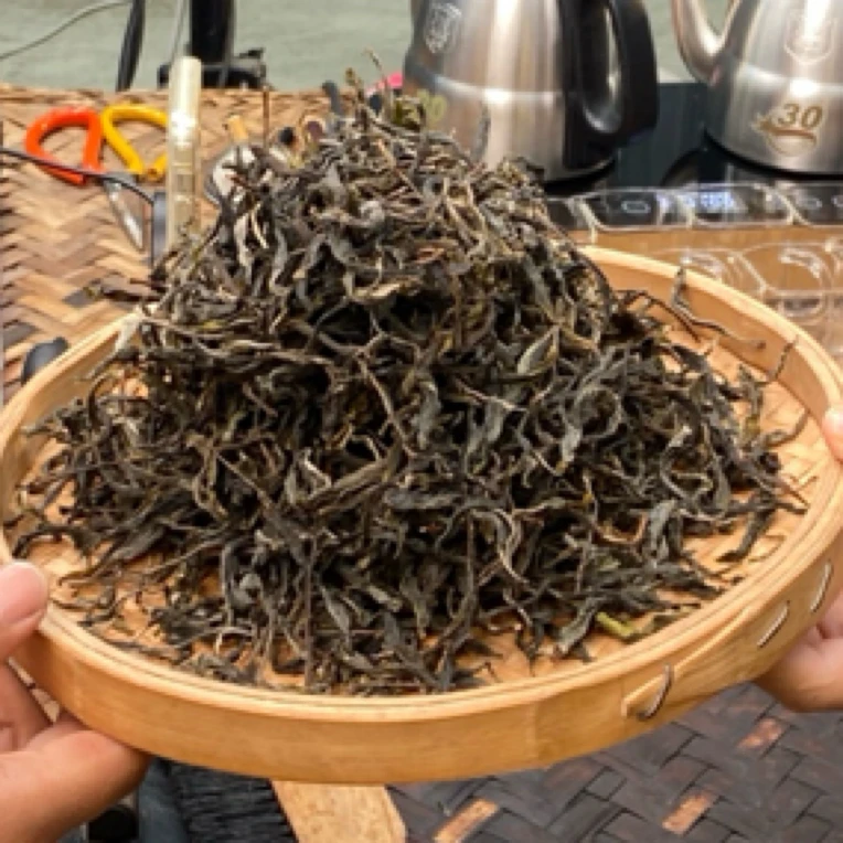 *2025年【那罕29号.茶王地.古树.春】晒青茶【生散茶】-7月29日【06】