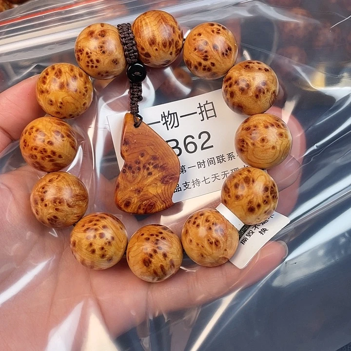 柏木（崖柏）其他五*62