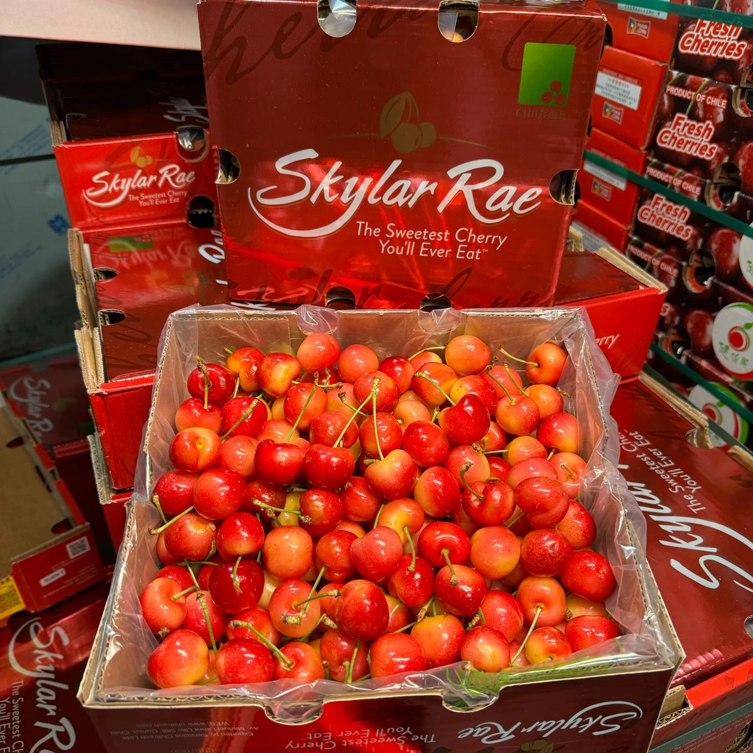 【乐鲜果园】智利空运斯凯拉雷2J-5J金车进口樱桃 内附果径卡