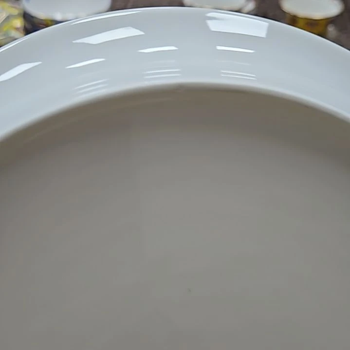 瓷片瑕疵9.5寸一个万花珐琅彩深盘6666