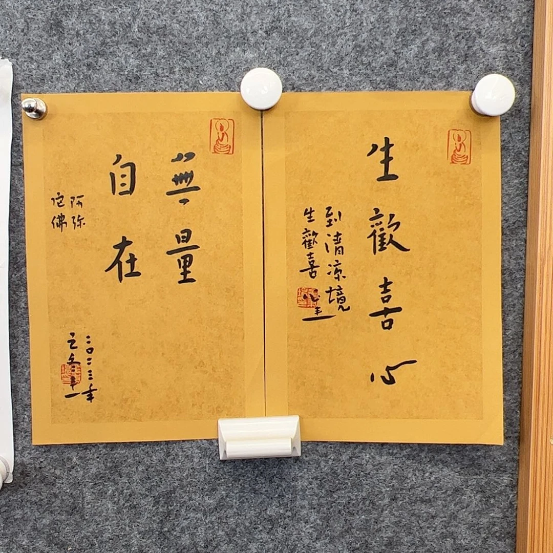 纸本（vv）书法无证 书画
