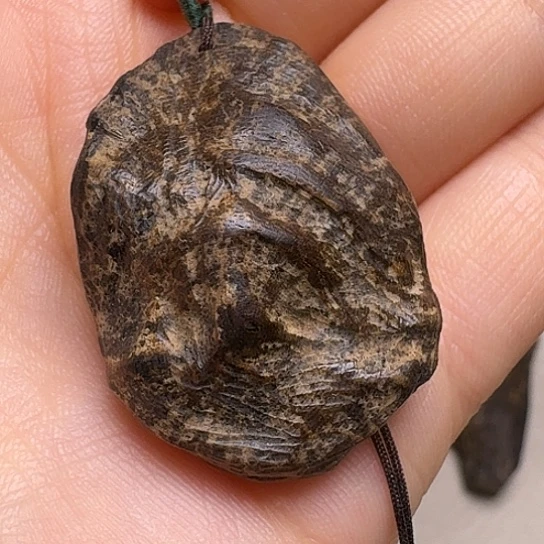 静水老加里曼丹沉水4.2克