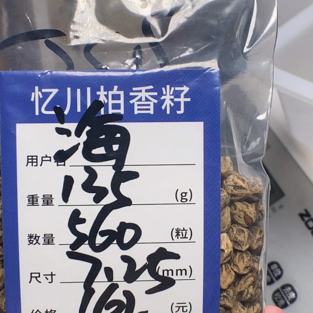 海***瓶柏香籽/百香籽吊坠