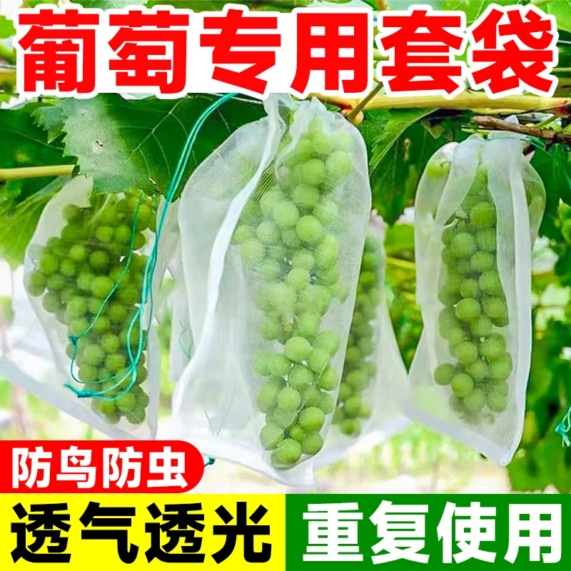葡萄套袋防鸟网袋水果套袋防虫瓜果蔬菜防虫袋塑料白色网袋浸种袋