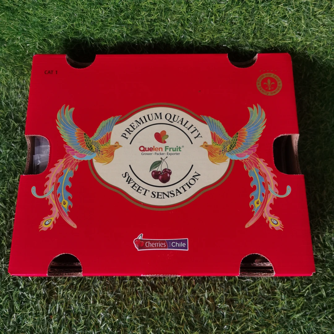 艾瑞卡2JD车厘子1箱（约5斤）实发拉冰丝