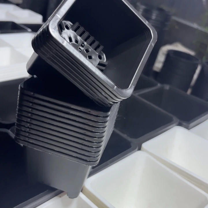 9公分黑方盆高7公分10个