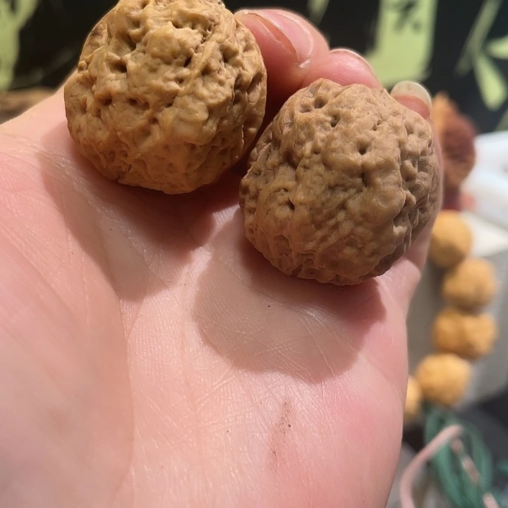 文玩核桃把件23-37mm