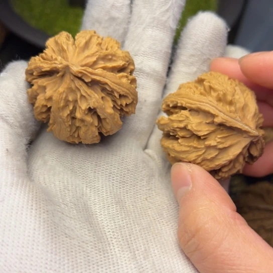 把件文玩核桃秦岭核桃17