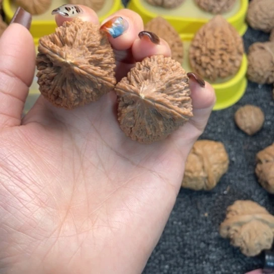 大***烟文玩核桃吊坠大蒜头06