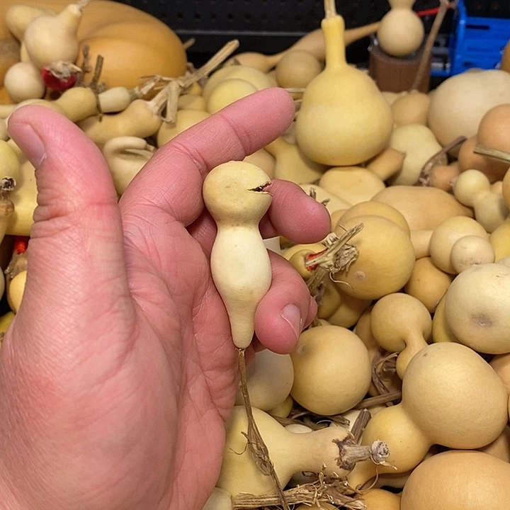 精品葫芦手把葫芦13