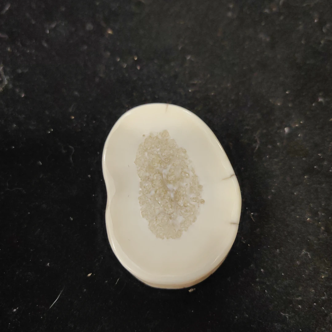 猛犸猛犸虬饼子WW182