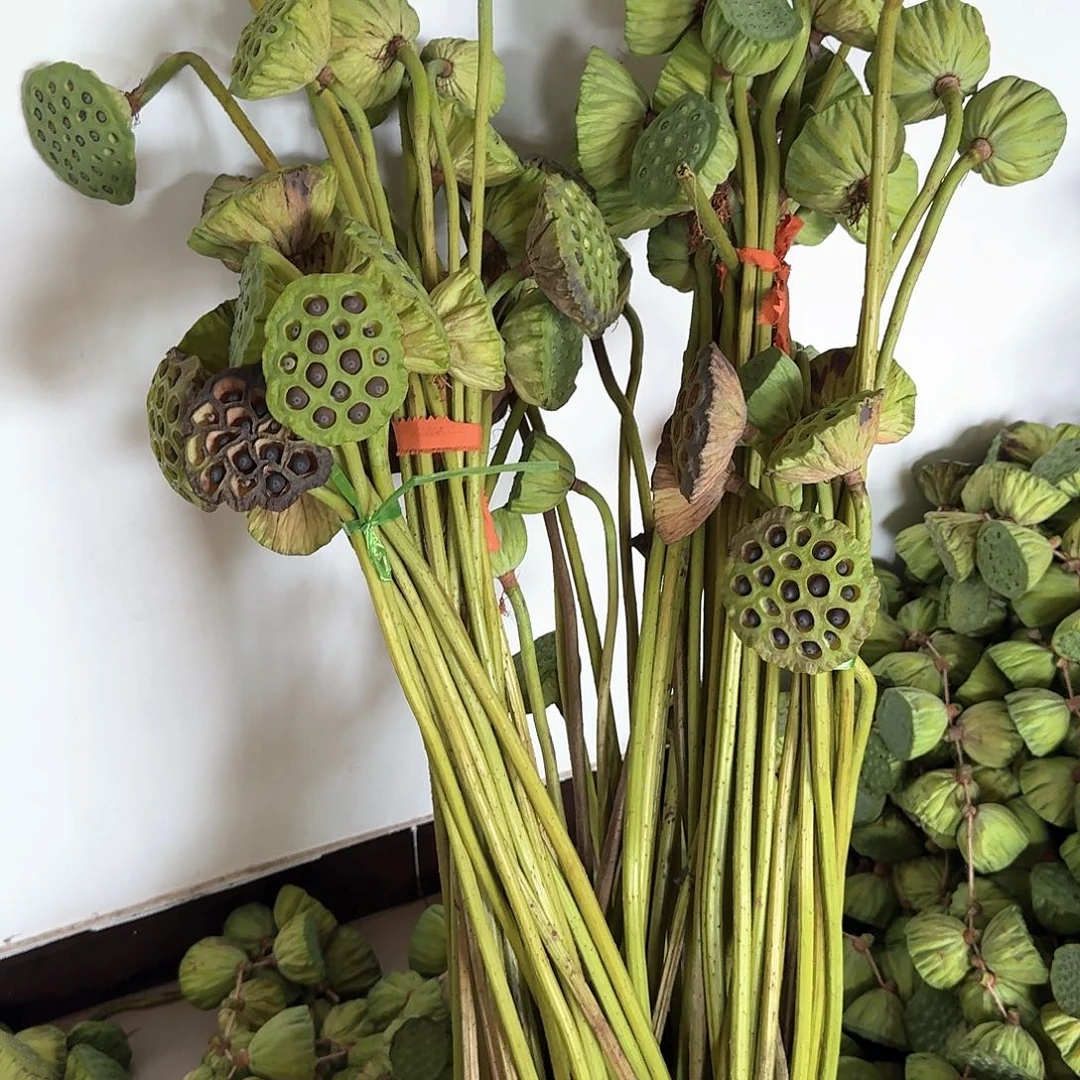 老的大的一箱12枝