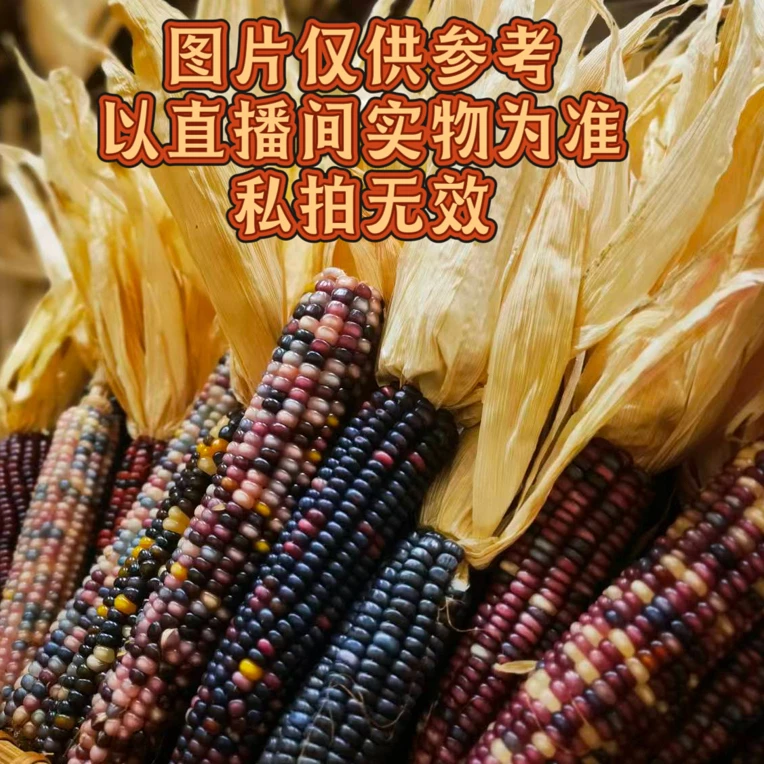 七彩文玩玉米（直播间一物一拍，不支持退换货，介意慎拍）