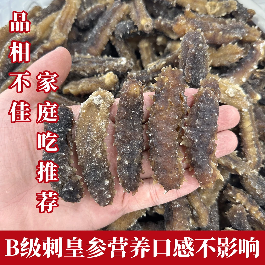 shenzhubo/参主播B级黄金刺皇海参品相不佳营养口感不影响无沙