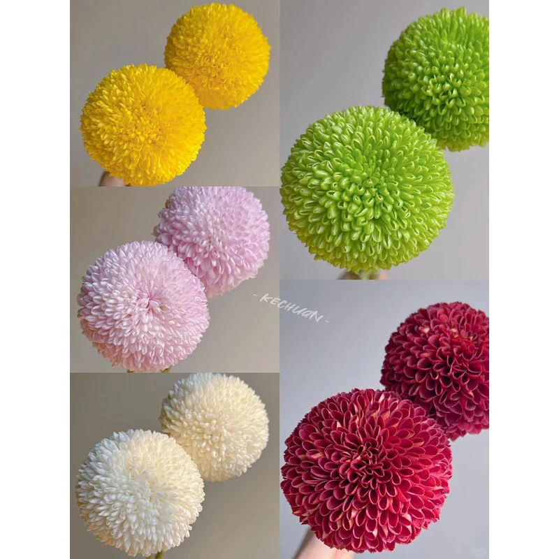 【乒乓菊】 一单包邮 云南鲜花昆明基地现采现发