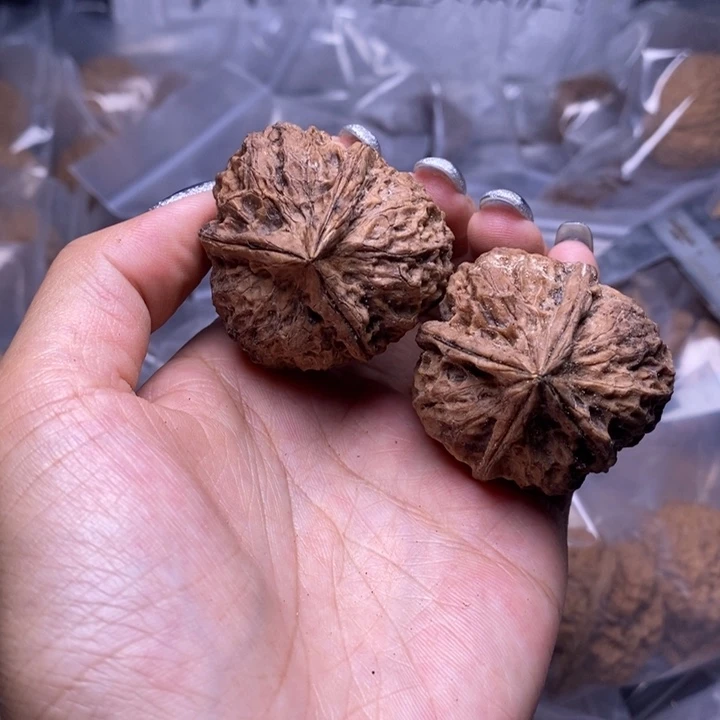 核桃云南野生铁核桃19号40mm