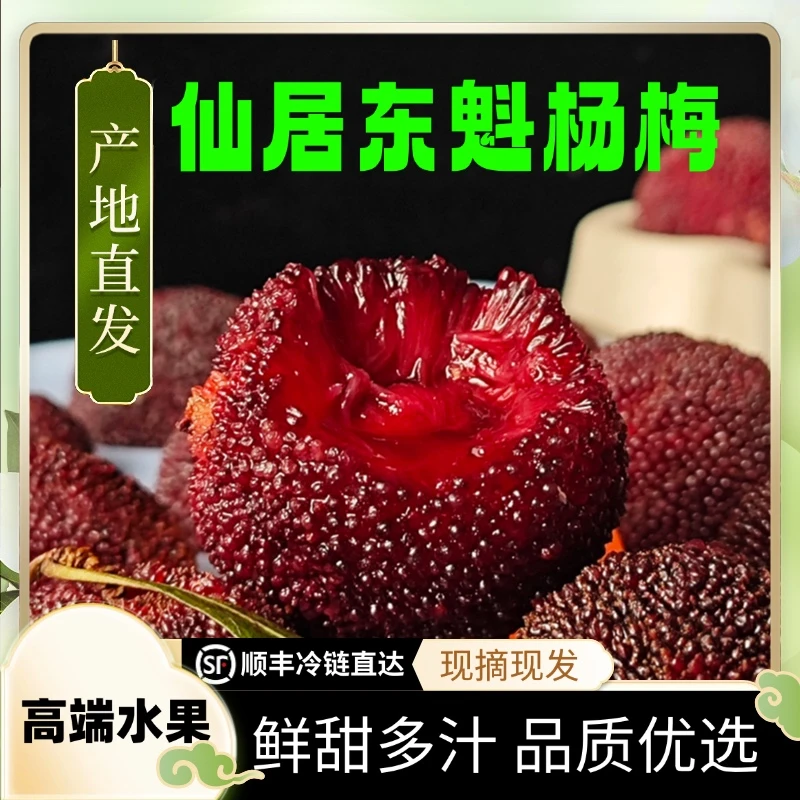 【果王】仙居东魁杨梅 杨梅王 顺丰冷链 新鲜水果 贡果礼盒 33-38g