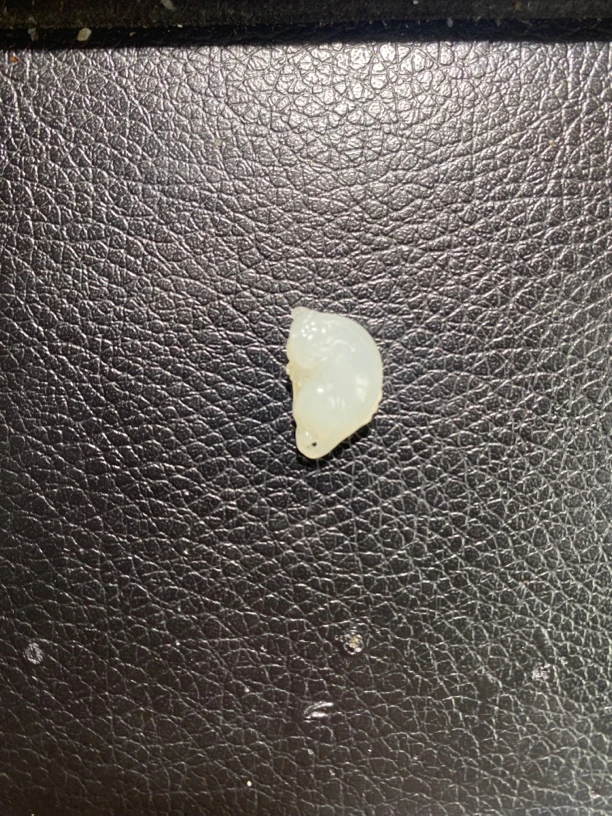 新疆和田玉      貔貅