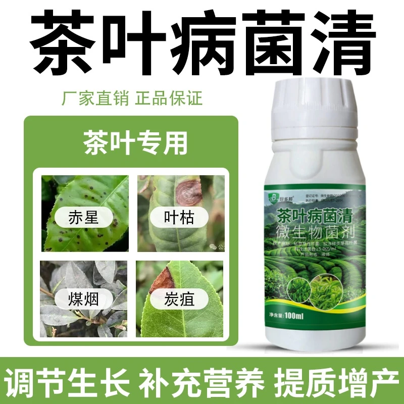 茶叶病菌清专用茶树赤星黄叶条纹茶饼根腐炭疽茶叶增收微生物菌剂