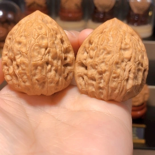 野生小众：穿山甲