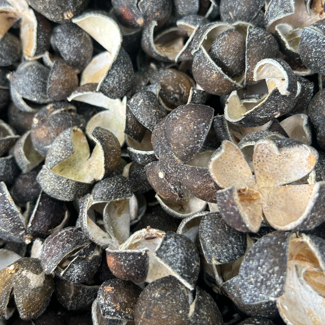 【老叶助农专场XJ】2021雪花青皮