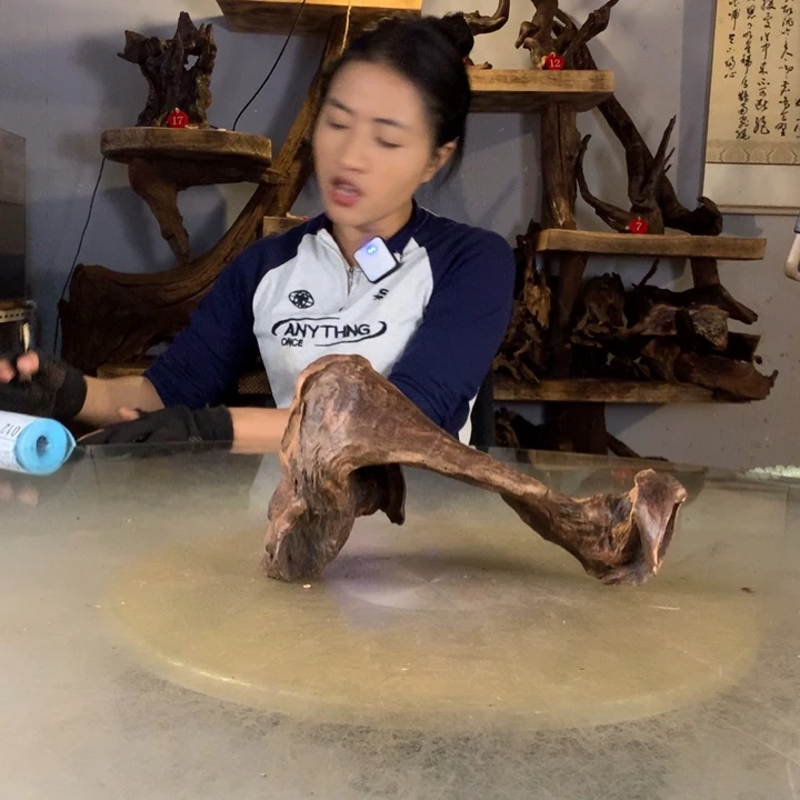 C***c天然的云南紫柚木会黄水