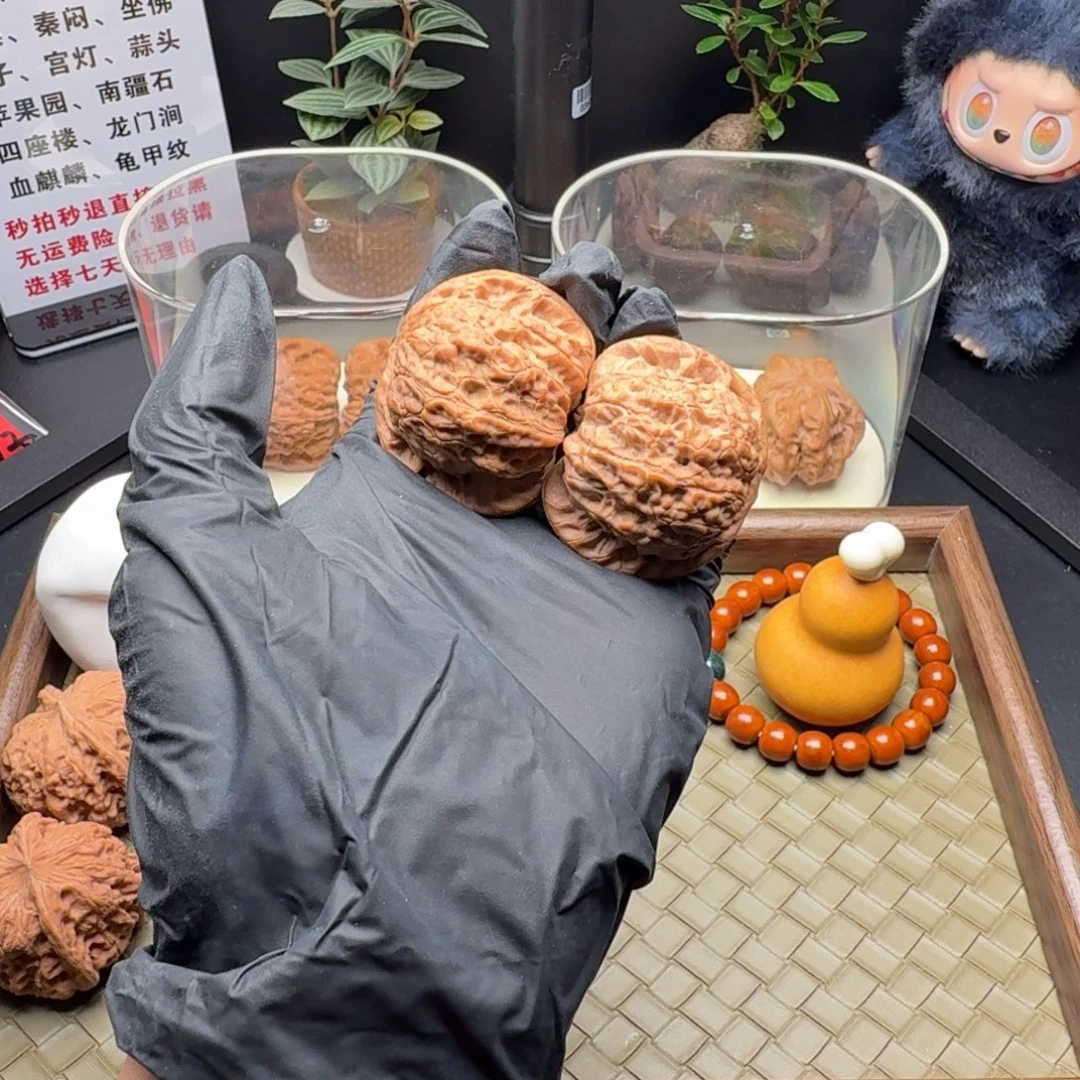 吊坠龙脊菩提全品血麒麟