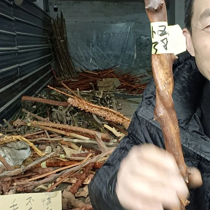 稳定木h****z贵州檬子木   铁马鞭   根艺  半成品